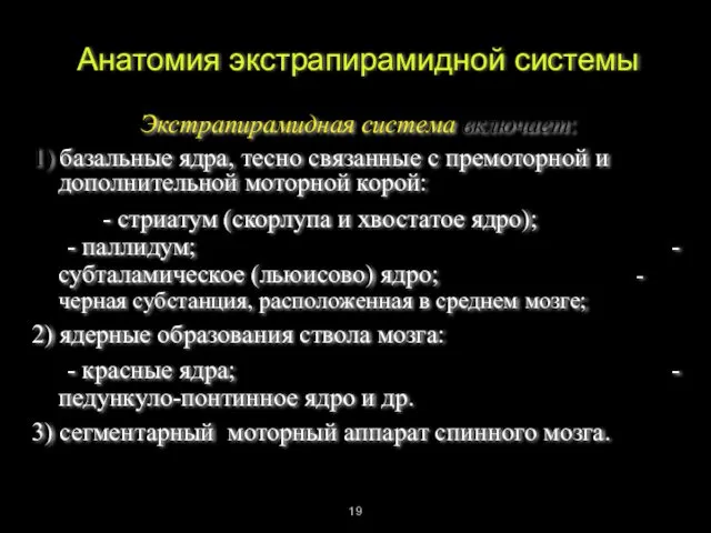 Анатомия экстрапирамидной системы Экстрапирамидная система включает: 1) базальные ядра, тесно связанные с премоторной