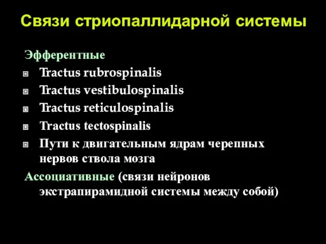 Связи стриопаллидарной системы Эфферентные Tractus rubrospinalis Tractus vestibulospinalis Tractus reticulospinalis