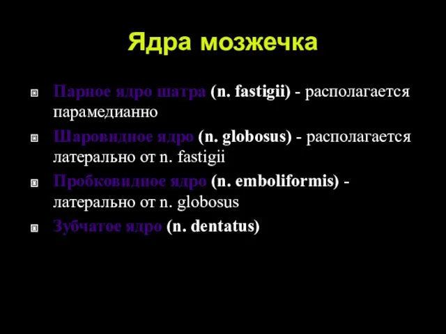 Ядра мозжечка Парное ядро шатра (n. fastigii) - располагается парамедианно Шаровидное ядро (n.