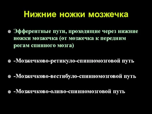 Нижние ножки мозжечка Эфферентные пути, проходящие через нижние ножки мозжечка (от мозжечка к