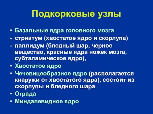 Подкорковые узлы Базальные ядра головного мозга стриатум (хвостатое ядро и