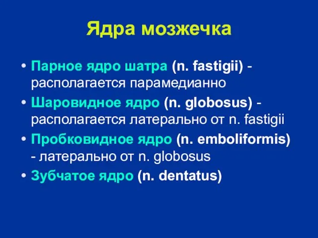 Ядра мозжечка Парное ядро шатра (n. fastigii) - располагается парамедианно Шаровидное ядро (n.