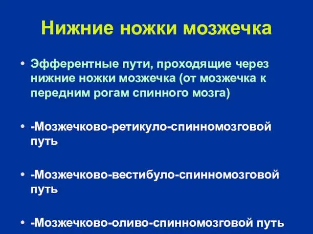 Нижние ножки мозжечка Эфферентные пути, проходящие через нижние ножки мозжечка