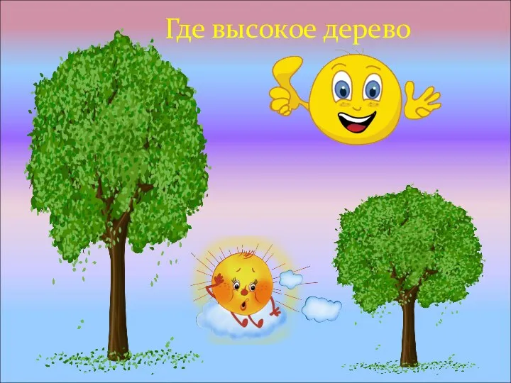 Где высокое дерево