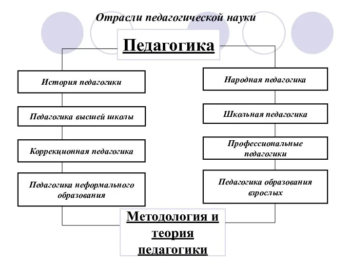 Отрасли педагогической науки Педагогика История педагогики Педагогика высшей школы Коррекционная педагогика Педагогика неформального