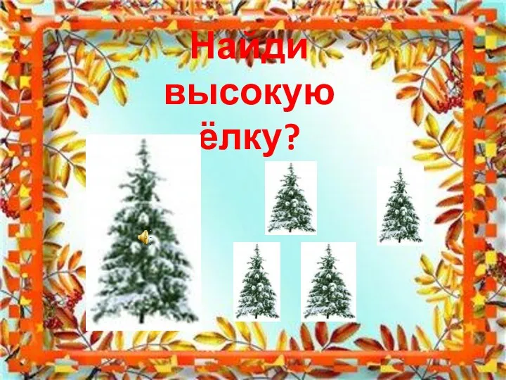 Найди высокую ёлку?