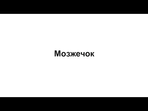 Мозжечок