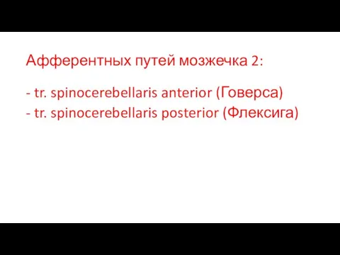 Афферентных путей мозжечка 2: - tr. spinocerebellaris anterior (Говерса) - tr. spinocerebellaris posterior (Флексига)