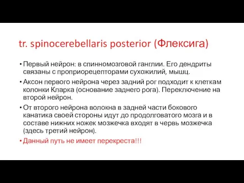 tr. spinocerebellaris posterior (Флексига) Первый нейрон: в спинномозговой ганглии. Его дендриты связаны с