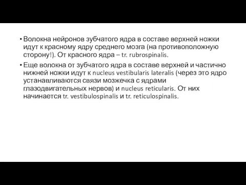 Волокна нейронов зубчатого ядра в составе верхней ножки идут к