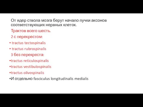 От ядер ствола мозга берут начало пучки аксонов соответствующих нервных клеток. Трактов всего