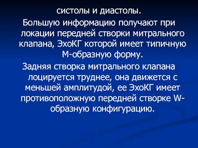 систолы и диастолы. Большую информацию получают при локации передней створки