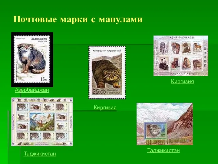 Почтовые марки с манулами Таджикистан Азербайджан Киргизия Таджикистан Киргизия