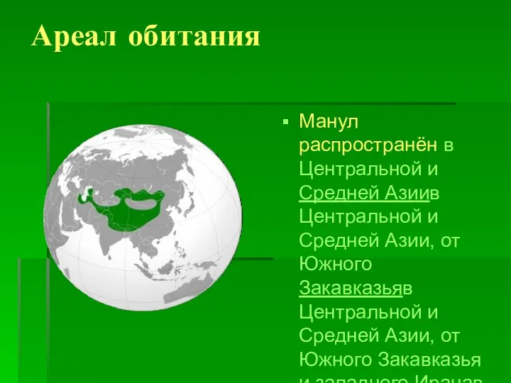 Ареал обитания Манул распространён в Центральной и Средней Азиив Центральной