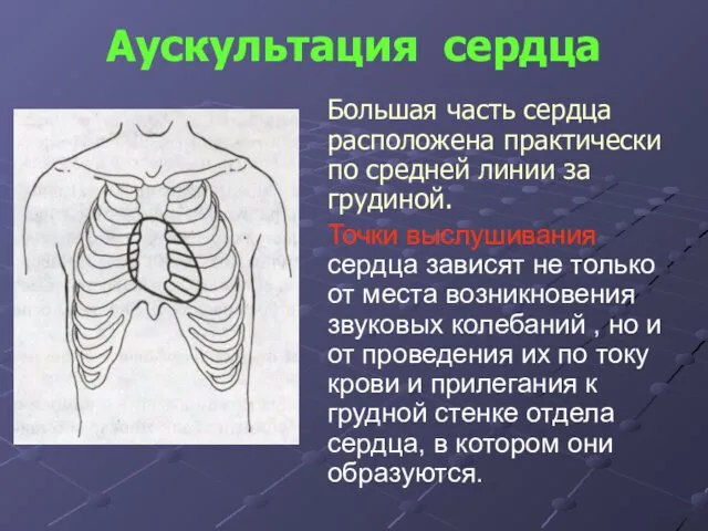 Аускультация сердца Большая часть сердца расположена практически по средней линии