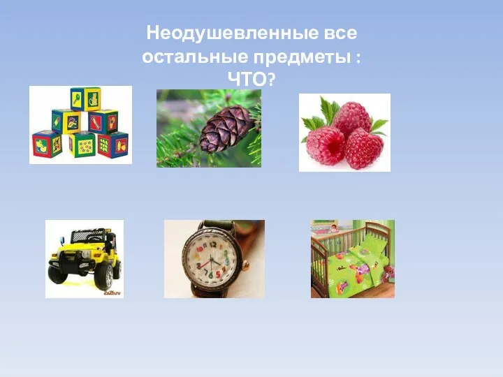 Неодушевленные все остальные предметы : ЧТО?