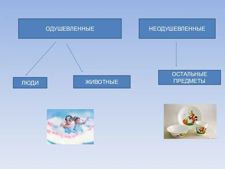 ОДУШЕВЛЕННЫЕ НЕОДУШЕВЛЕННЫЕ ЛЮДИ ЖИВОТНЫЕ ОСТАЛЬНЫЕ ПРЕДМЕТЫ