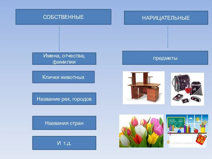 СОБСТВЕННЫЕ НАРИЦАТЕЛЬНЫЕ Имена, отчества, фамилии Клички животных Название рек, городов Названия стран И т.д. предметы