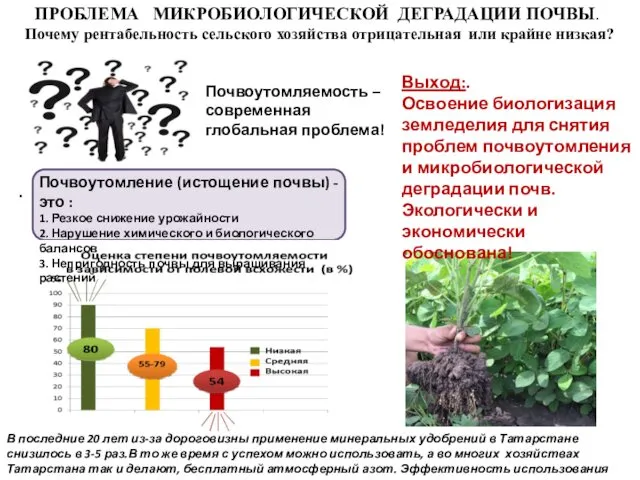 ПРОБЛЕМА МИКРОБИОЛОГИЧЕСКОЙ ДЕГРАДАЦИИ ПОЧВЫ. Почему рентабельность сельского хозяйства отрицательная или