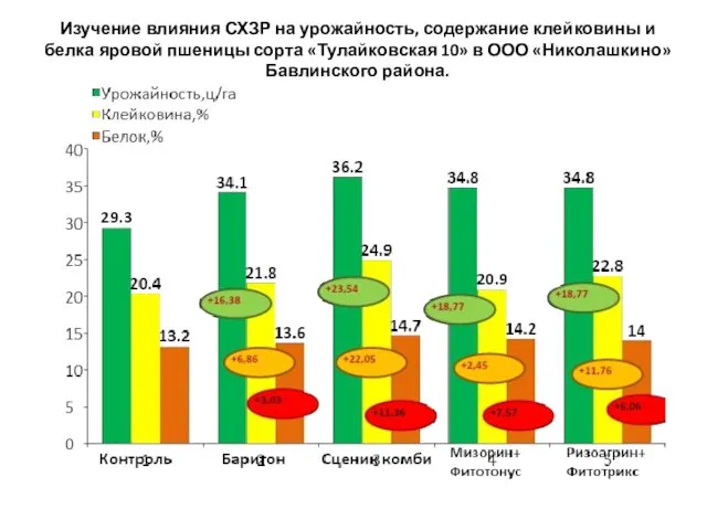 Изучение влияния СХЗР на урожайность, содержание клейковины и белка яровой