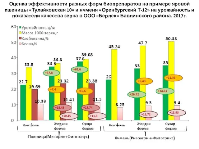 Оценка эффективности разных форм биопрепаратов на примере яровой пшеницы «Тулайковская