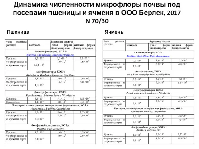 Динамика численности микрофлоры почвы под посевами пшеницы и ячменя в