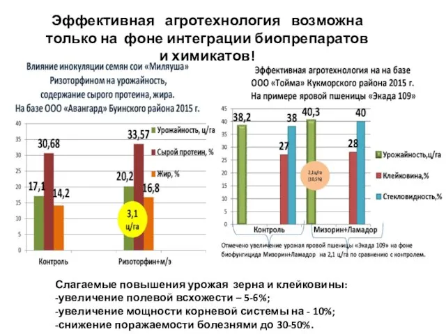 Эффективная агротехнология возможна только на фоне интеграции биопрепаратов и химикатов!