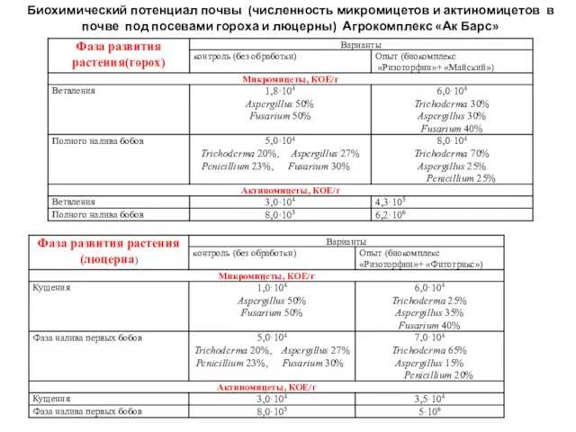 Биохимический потенциал почвы (численность микромицетов и актиномицетов в почве под