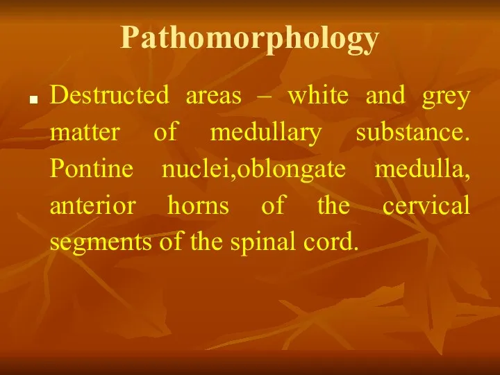 Pathomorphology Destructed areas – white and grey matter of medullary
