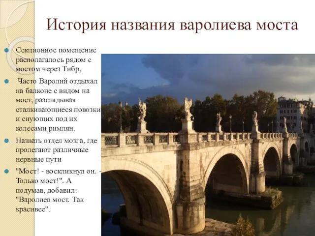 История названия варолиева моста Секционное помещение располагалось рядом с мостом через Тибр, Часто