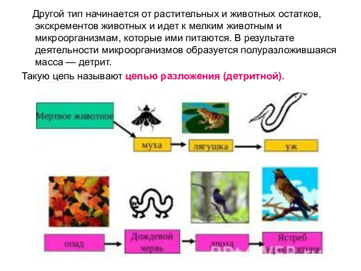 Другой тип начинается от растительных и животных остатков, экскрементов животных