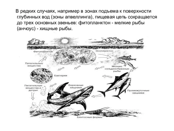 В редких случаях, например в зонах подъема к поверхности глубинных