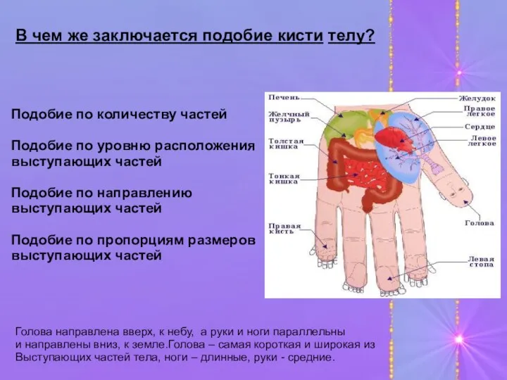 В чем же заключается подобие кисти телу? Подобие по количеству