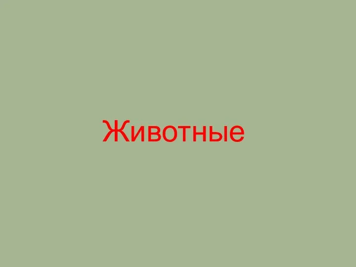 Животные