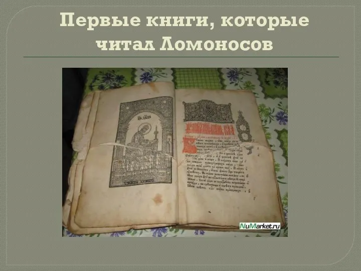 Первые книги, которые читал Ломоносов
