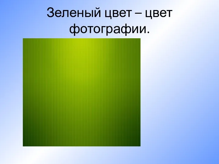 Зеленый цвет – цвет фотографии.