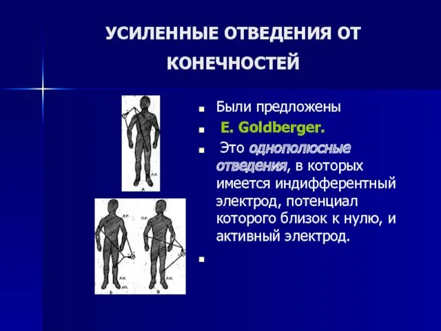 УСИЛЕННЫЕ ОТВЕДЕНИЯ ОТ КОНЕЧНОСТЕЙ Были предложены E. Goldberger. Это однополюсные