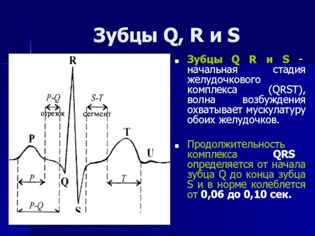 Зубцы Q, R и S Зубцы Q R и S