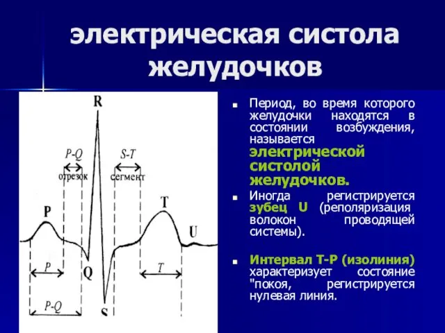 электрическая систола желудочков Период, во время которого желудочки находятся в