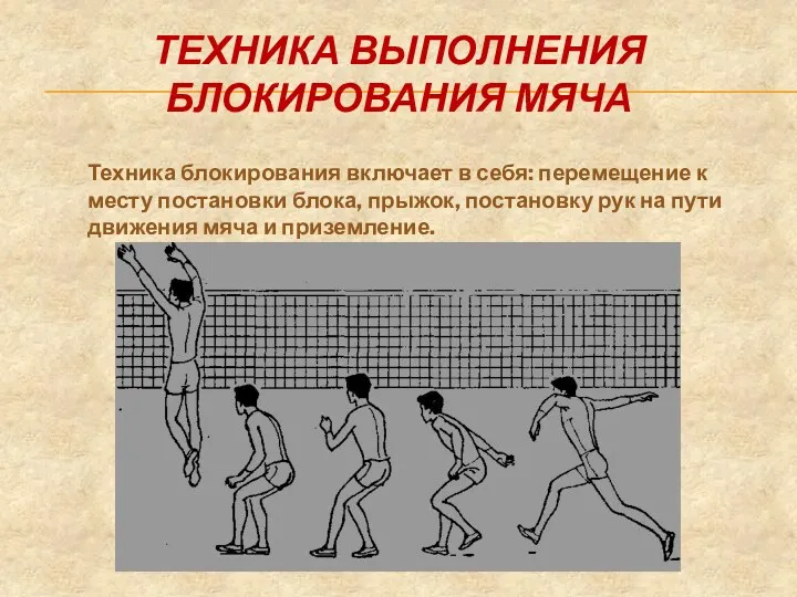 Техника выполнения блокирования мяча Техника блокирования включает в себя: перемещение