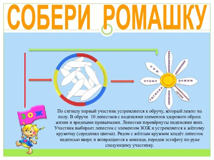 СОБЕРИ РОМАШКУ По сигналу первый участник устремляется к обручу, который