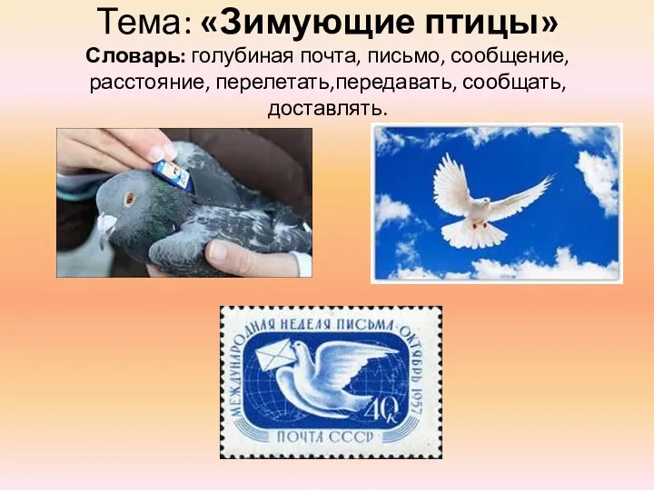 Тема: «Зимующие птицы» Словарь: голубиная почта, письмо, сообщение, расстояние, перелетать,передавать, сообщать, доставлять.