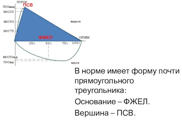 В норме имеет форму почти прямоугольного треугольника: Основание – ФЖЕЛ. Вершина – ПСВ. ФЖЕЛ ПСВ