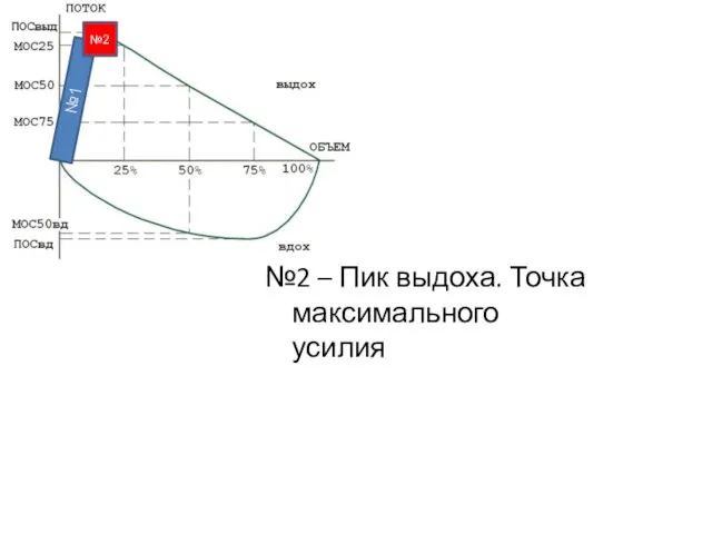 №2 – Пик выдоха. Точка максимального усилия №1 №2