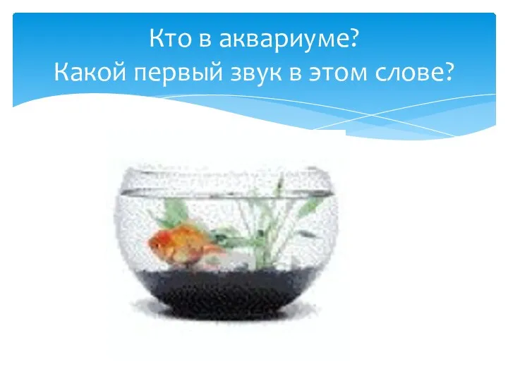 Кто в аквариуме? Какой первый звук в этом слове?