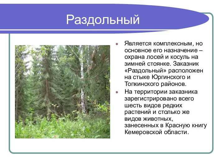 Раздольный Является комплексным, но основное его назначение – охрана лосей