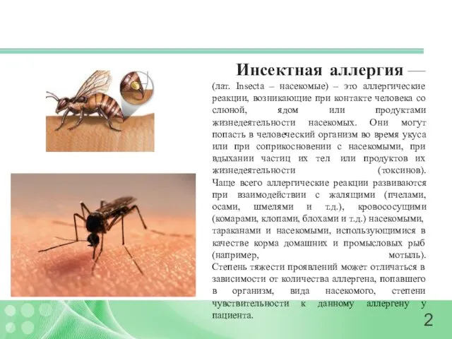 Инсектная аллергия — (лат. Insecta – насекомые) – это аллергические