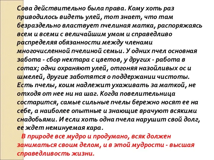 Сова действительно была права. Кому хоть раз приводилось видеть улей,