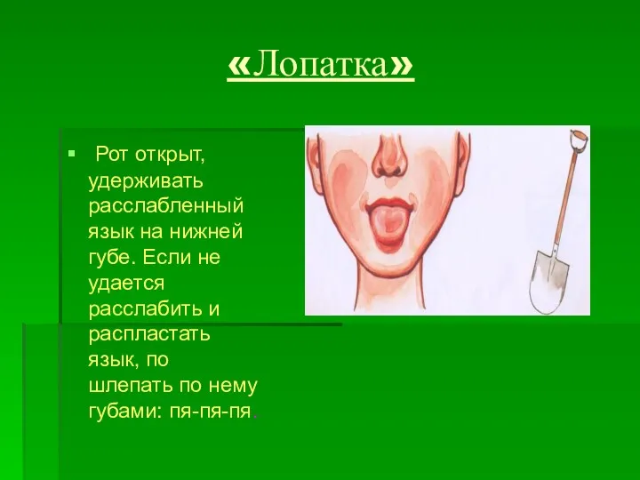 «Лопатка» Рот открыт, удерживать расслабленный язык на нижней губе. Если не удается расслабить