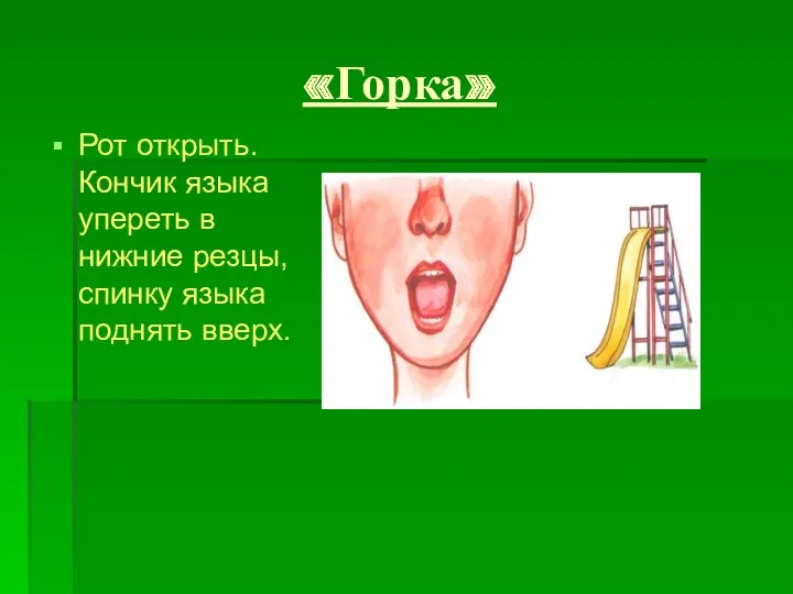 «Горка» Рот открыть. Кончик языка упереть в нижние резцы, спинку языка поднять вверх.